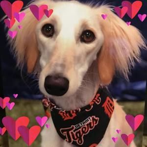 Meet your Posher, Patricia